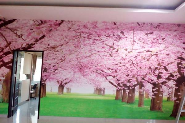 Wallpaper Dinding 3d Bunga Sakura Image Num 24